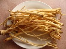 茴香根的图片