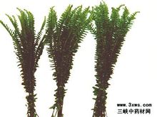 排草香的图片